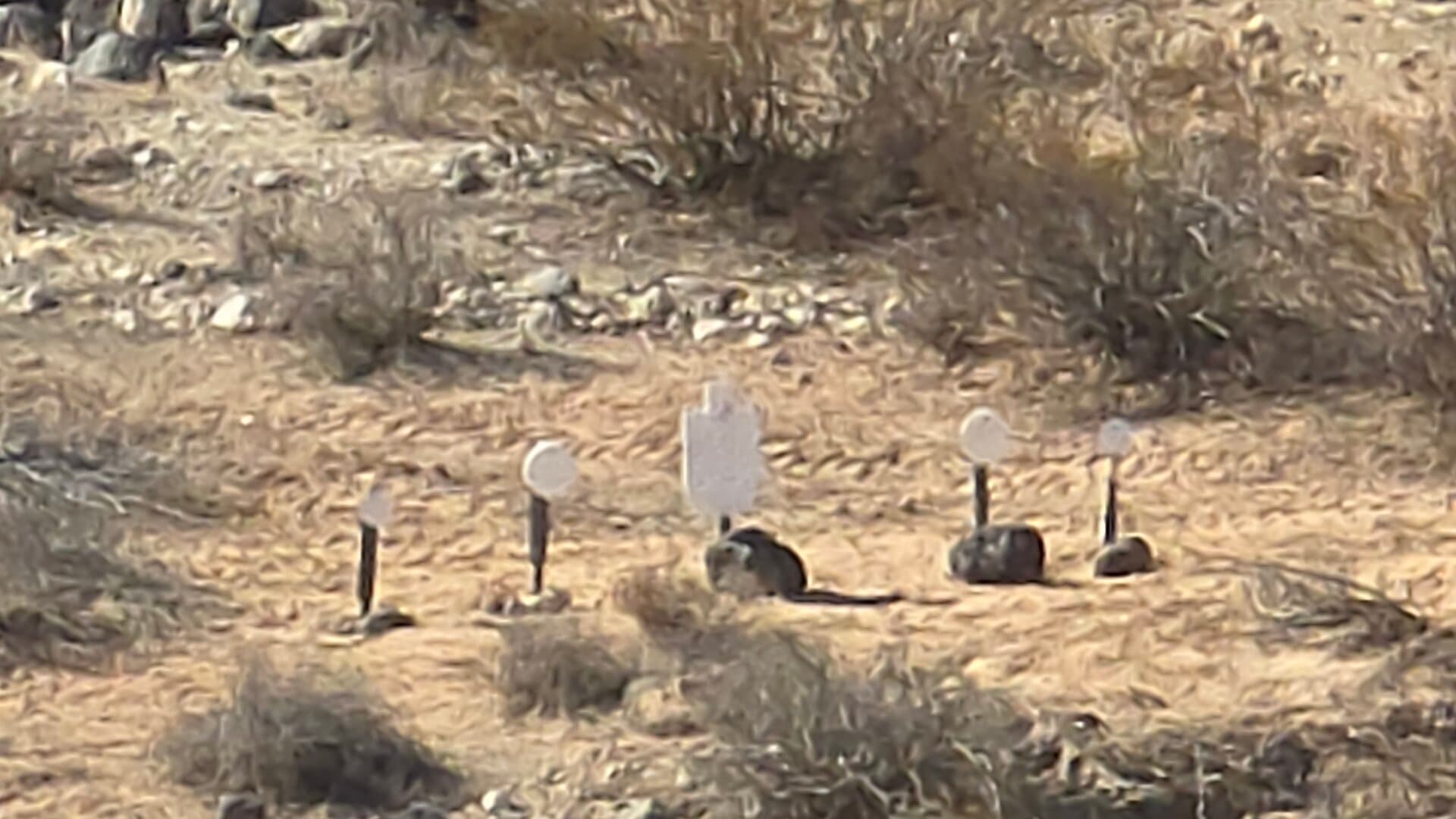 Long-range shooting setup at the exclusive desert range facility